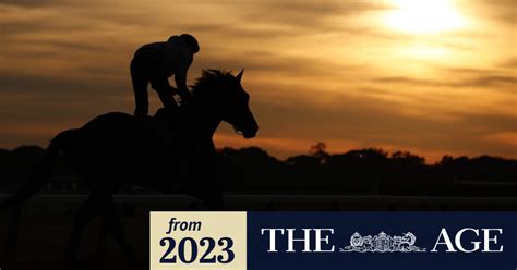 Law firm under investigation over bookies’ missing millions .